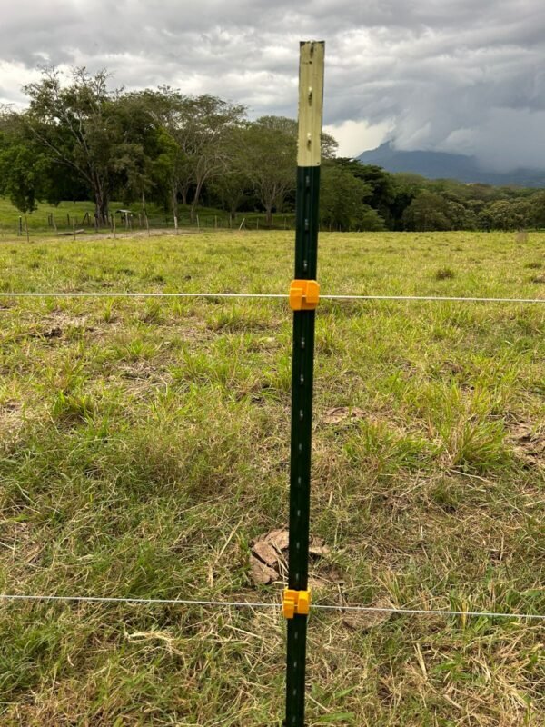 Poste De Acero 1.82 Mts - Image 4